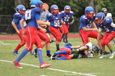 Enlarge photo 376