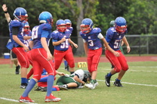 Enlarge photo 377