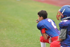 Enlarge photo 380