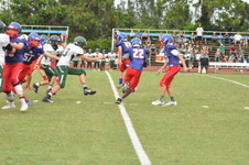 Enlarge photo 391