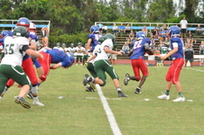 Enlarge photo 393