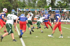 Enlarge photo 395