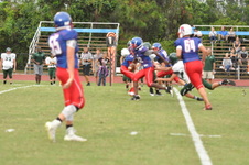 Enlarge photo 397