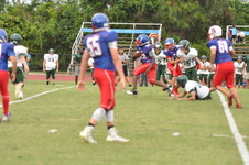 Enlarge photo 398