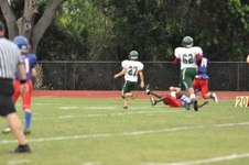 Enlarge photo 409