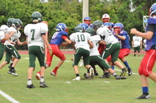Enlarge photo 419