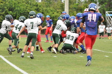 Enlarge photo 421