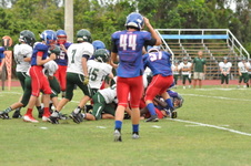 Enlarge photo 422