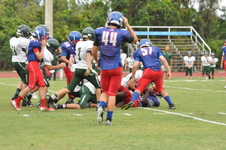 Enlarge photo 423