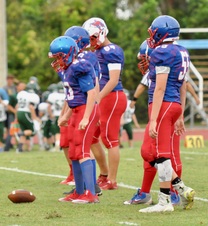 Enlarge photo 431