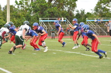 Enlarge photo 433