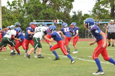 Enlarge photo 435