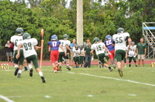 Enlarge photo 441