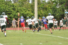 Enlarge photo 443