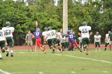 Enlarge photo 444