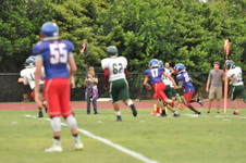 Enlarge photo 446