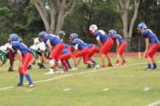 Enlarge photo 466