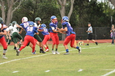Enlarge photo 474