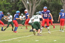 Enlarge photo 479