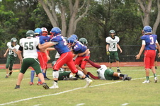 Enlarge photo 482