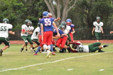 Enlarge photo 484