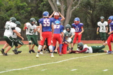 Enlarge photo 485