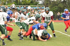 Enlarge photo 498
