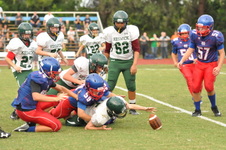 Enlarge photo 499