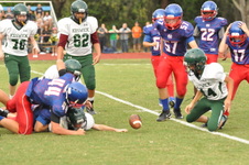 Enlarge photo 501