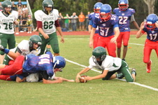 Enlarge photo 502