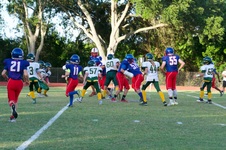 Enlarge photo 31