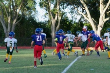 Enlarge photo 33