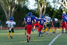 Enlarge photo 34