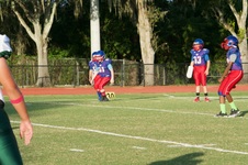 Enlarge photo 45