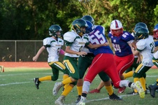Enlarge photo 51