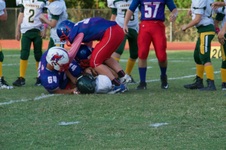 Enlarge photo 55
