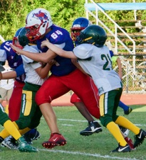 Enlarge photo 59
