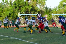 Enlarge photo 61
