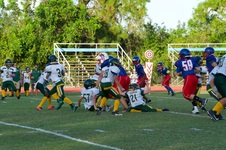 Enlarge photo 62