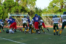 Enlarge photo 64