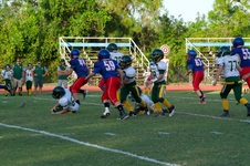 Enlarge photo 67