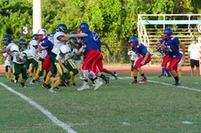 Enlarge photo 80