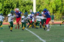 Enlarge photo 84