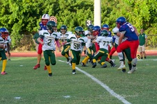 Enlarge photo 85