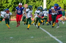 Enlarge photo 86