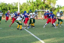 Enlarge photo 87