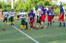 Enlarge photo 89