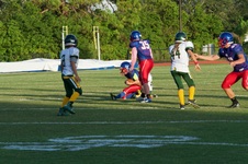Enlarge photo 107