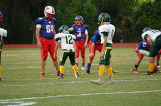Enlarge photo 135