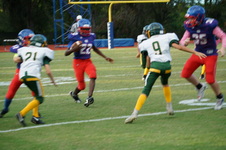 Enlarge photo 148